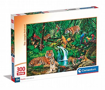 ���� 300 ��� ������