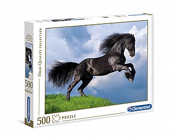 ���� ��� ���� 500 ��'