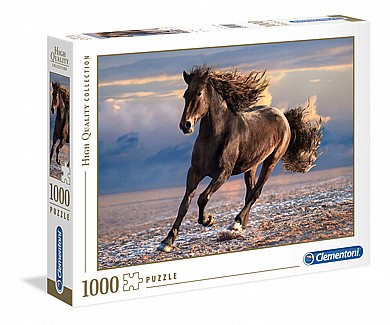 ���� ��� ���� 1000 ��'