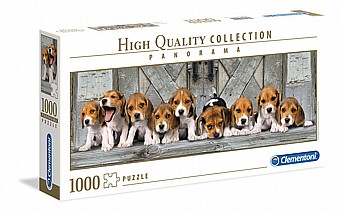 ���� ������ ����� 1000 ��'