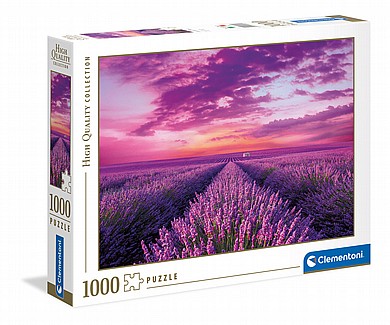 ���� 1000 ��' ���� �����
